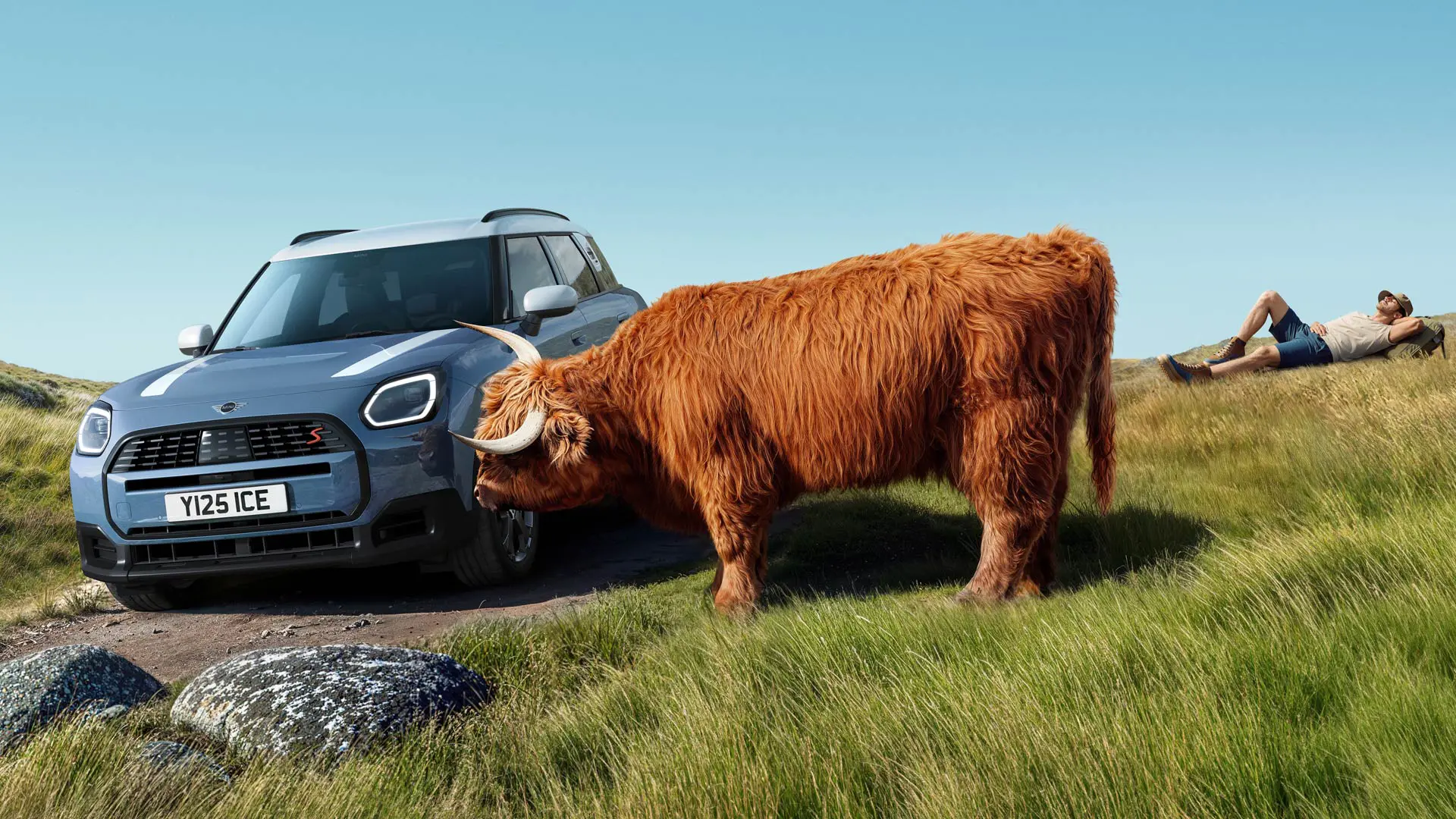 En MINI Countryman kör förbi en ko, som betar lugnt i närheten. Med Proactive Care kan du fokusera på körningen medan vi tar hand om allt annat.